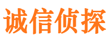 阳高侦探公司